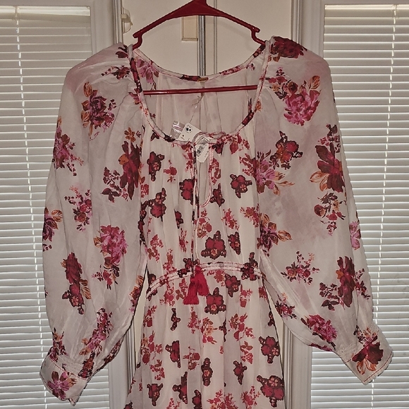 Free People Cream and Burgundy Floral Dress - Picture 4 of 8